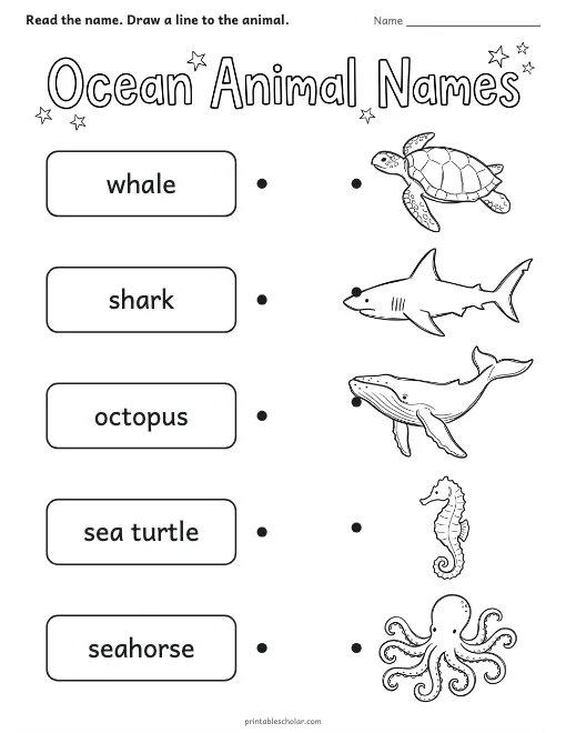 Ocean Animal Names worksheet preview