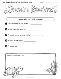 Ocean Review worksheet