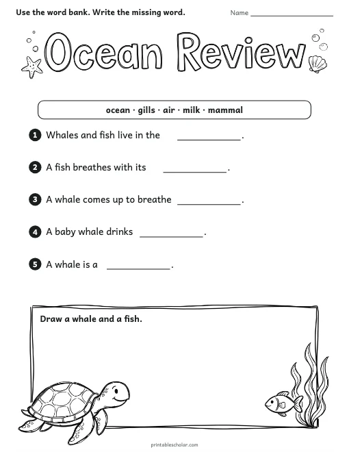 Ocean Review worksheet preview