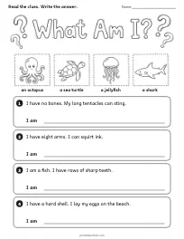 What Am I?