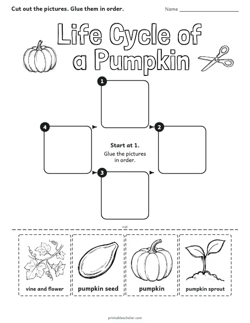 Pumpkin Life Cycle Cut and Paste worksheet preview