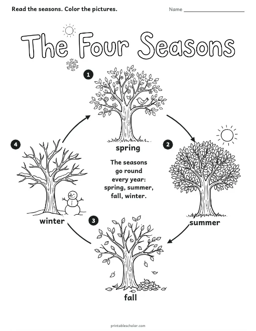 The Four Seasons worksheet preview