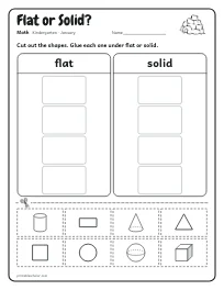 Flat or Solid? worksheet