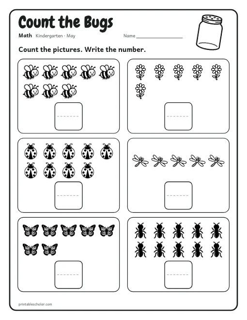 Count the Bugs: kindergarten math worksheet preview