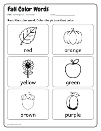 Fall Color Words worksheet