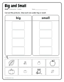 Big and Small worksheet