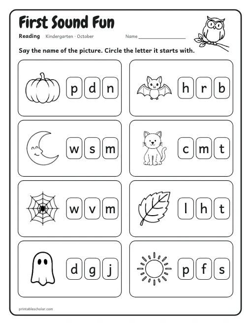 First Sound Fun: kindergarten reading worksheet preview