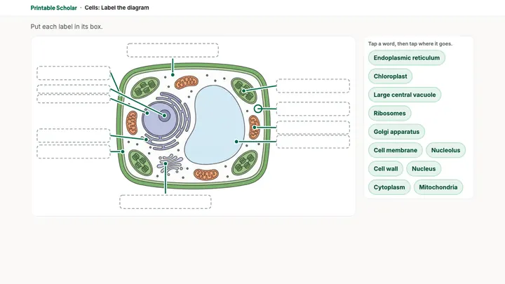 The Cells lesson on screen: a diagram with empty boxes and a word bank