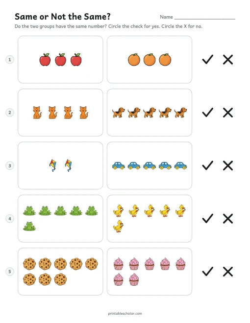 Same or Not the Same? printable preview