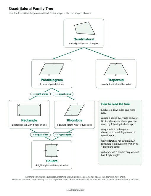 Quadrilateral Family Tree printable preview