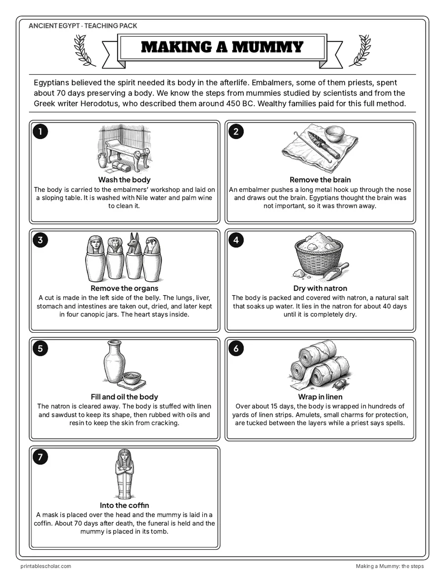 Making a Mummy: the 7 steps