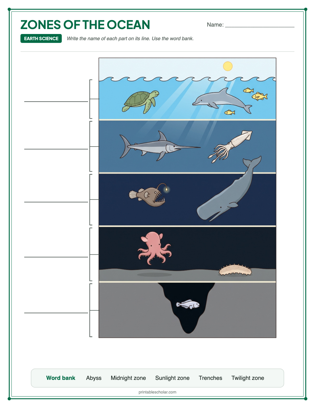 Blank ocean zones diagram to label, with a word bank