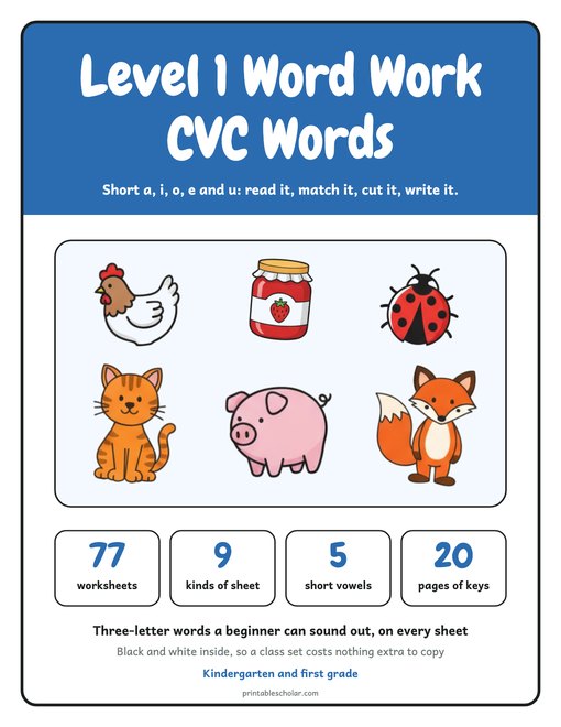 Level 1 Word Work: CVC Words cover