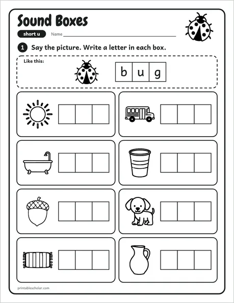 Sound Boxes worksheet from the Level 1 Word Work: CVC Words pack