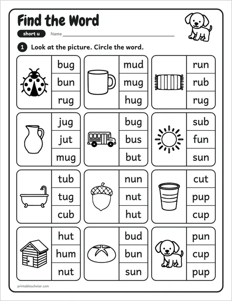 Find the Word worksheet from the Level 1 Word Work: CVC Words pack