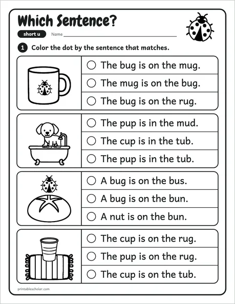 Which Sentence? worksheet from the Level 1 Word Work: CVC Words pack