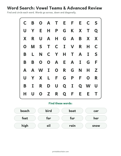 Vowel Teams & Advanced Review word search printable preview