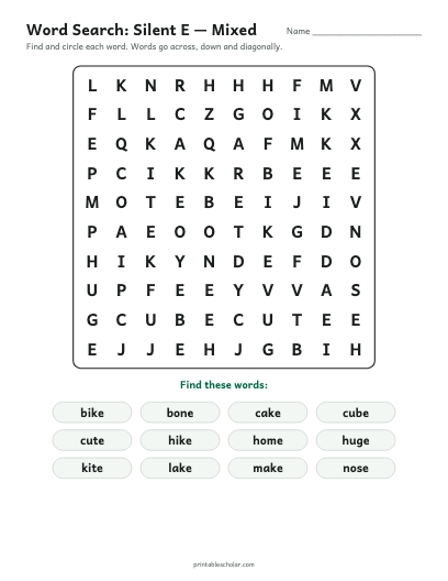 Silent E — Mixed word search printable preview