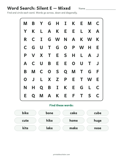 Silent E — Mixed word search printable preview