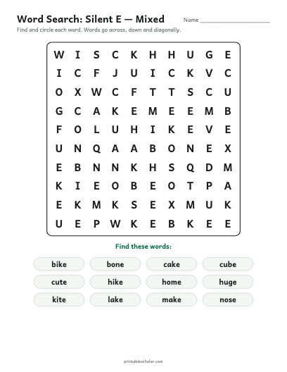 Silent E — Mixed word search printable preview