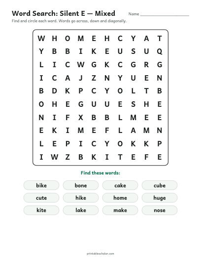 Silent E — Mixed word search printable preview
