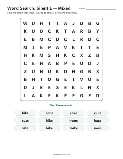 Silent E — Mixed word search printable preview