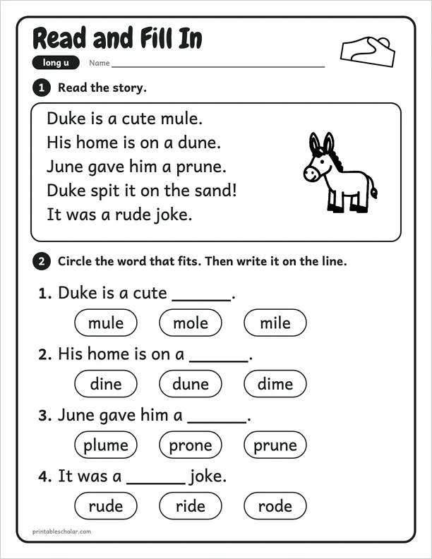 Read and Fill In: a silent e long u picture worksheet