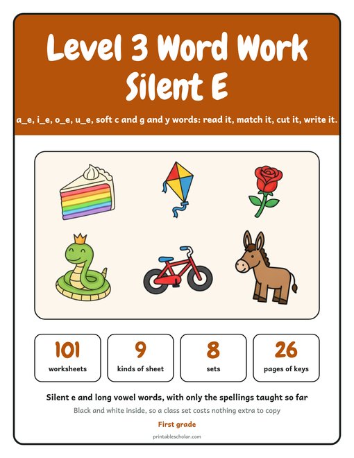 Level 3 Word Work: Silent E cover