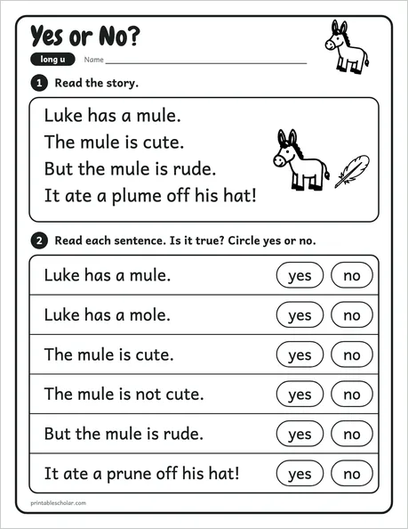 Yes or No? worksheet from the Level 3 Word Work: Silent E pack