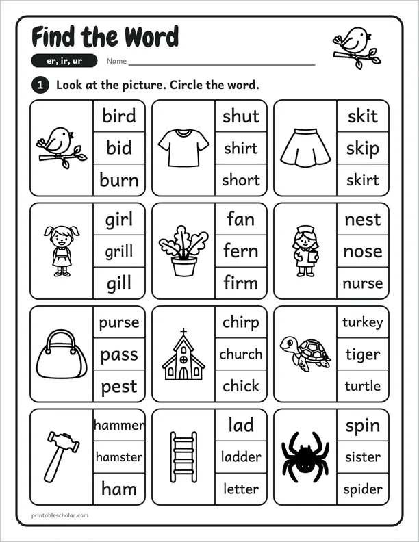 Find the Word: a er, ir and ur picture worksheet