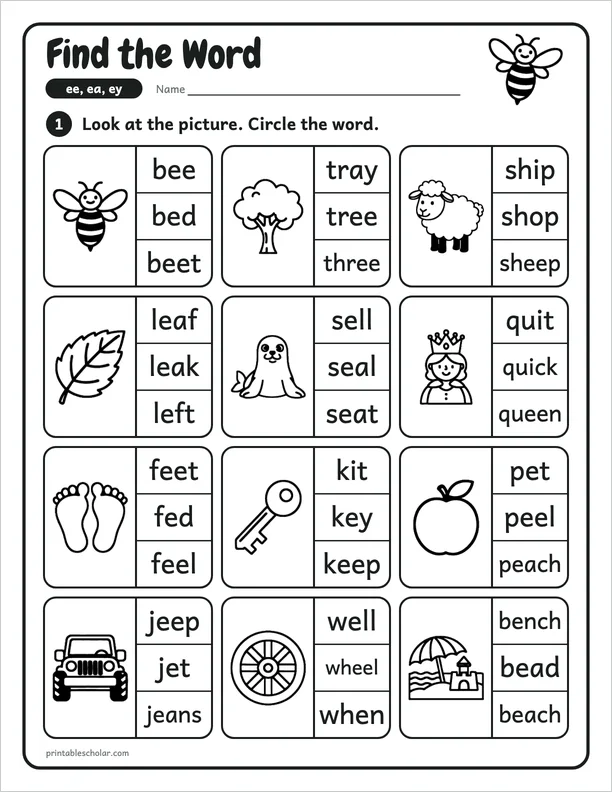 Find the Word: a ee, ea and ey picture worksheet