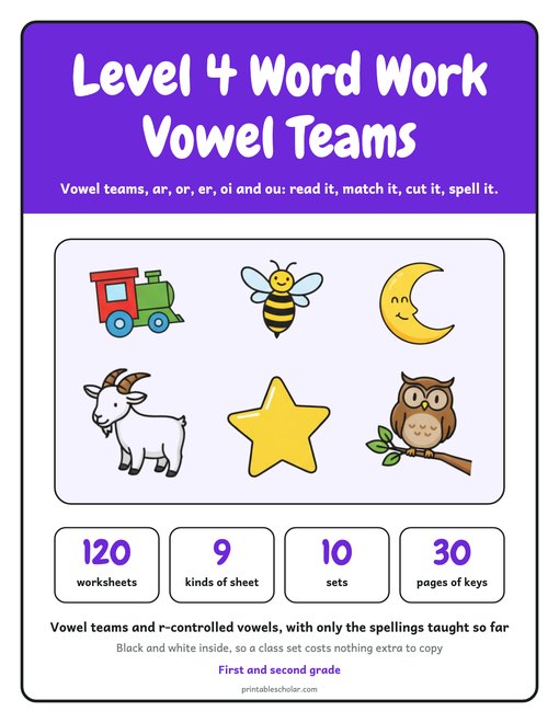 Level 4 Word Work: Vowel Teams cover