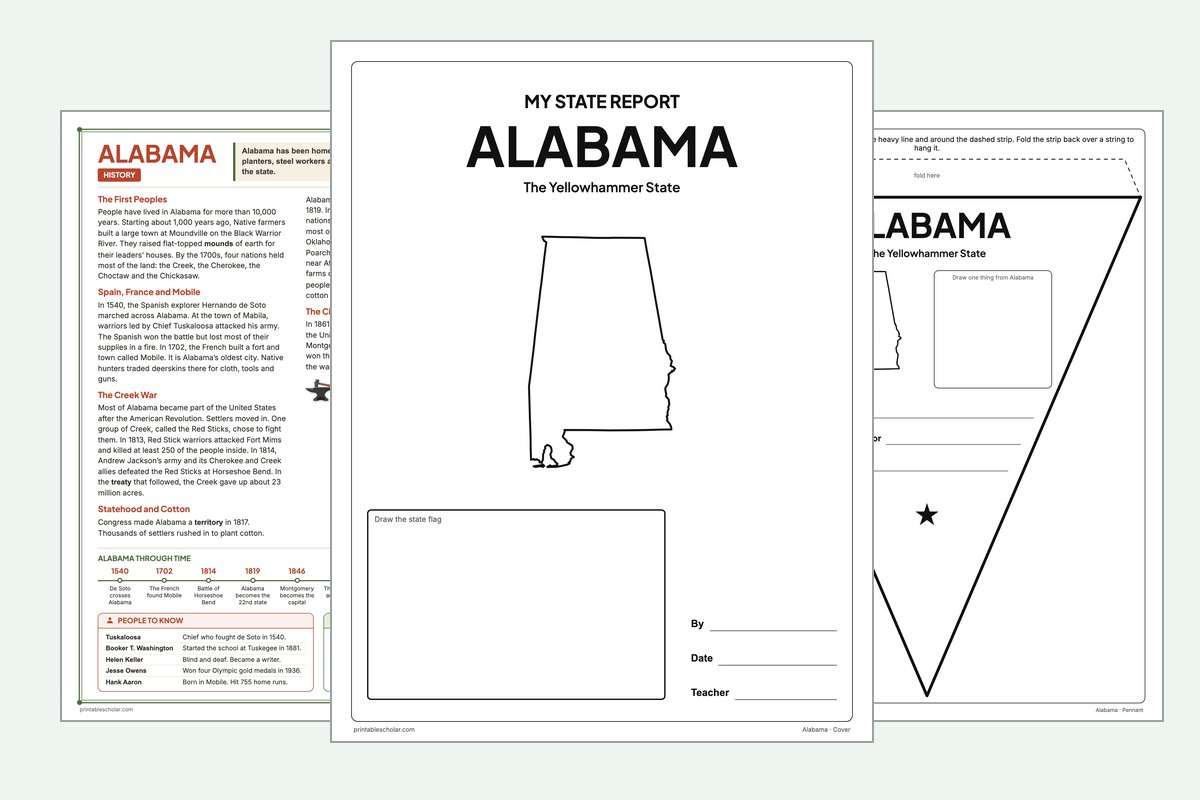 Alabama State Report Kit: the report booklet cover, the history reading page and the pennant