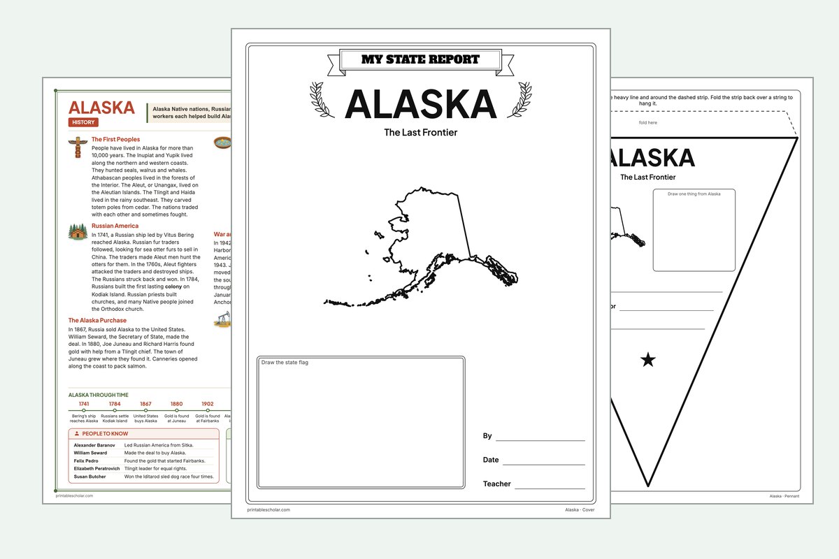 Alaska State Report Kit: the report booklet cover, the history reading page and the pennant