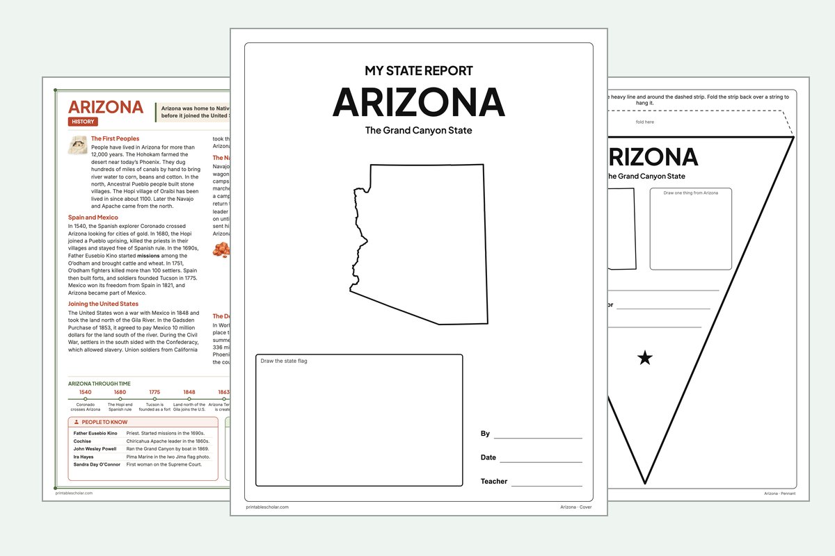 Arizona State Report Kit: the report booklet cover, the history reading page and the pennant
