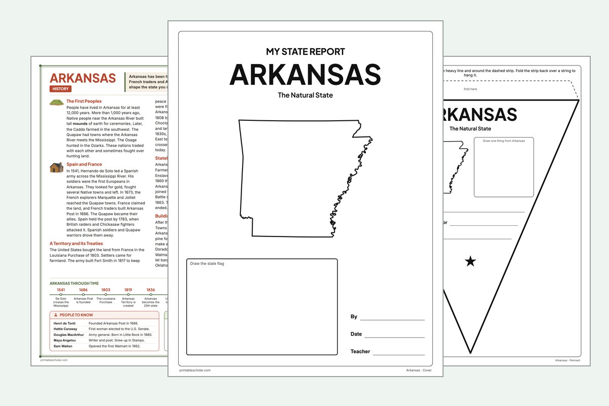 Arkansas State Report Kit: the report booklet cover, the history reading page and the pennant