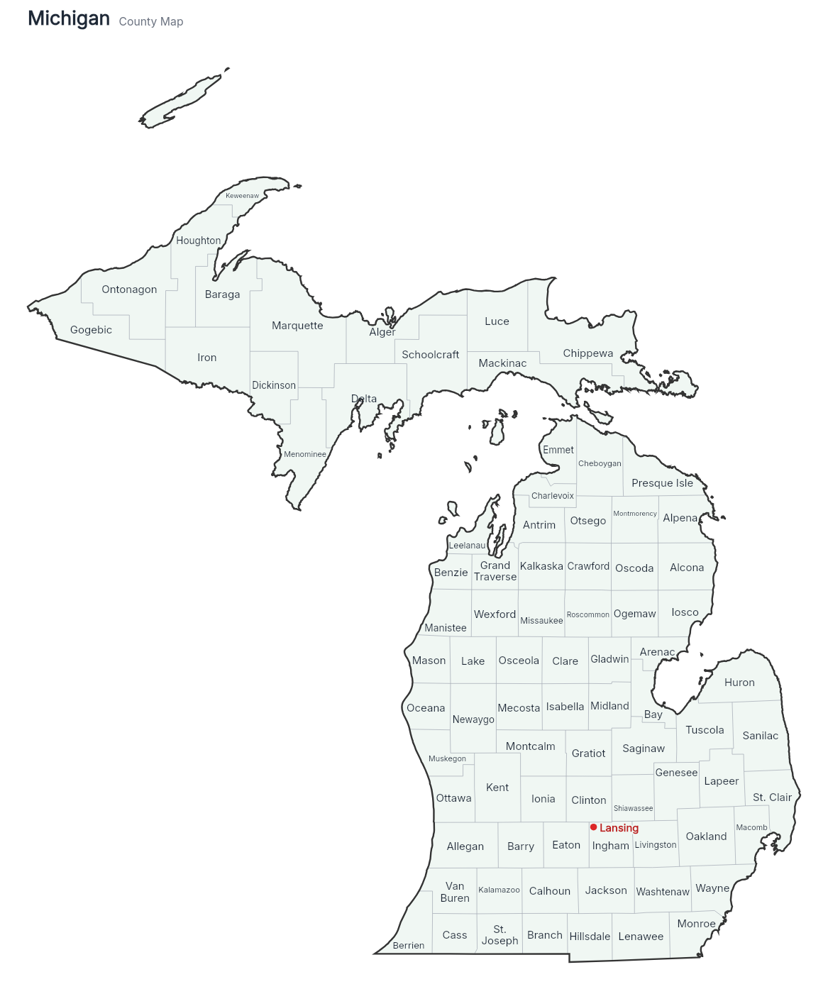 Michigan with counties map