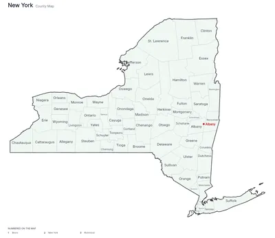 New York with counties map
