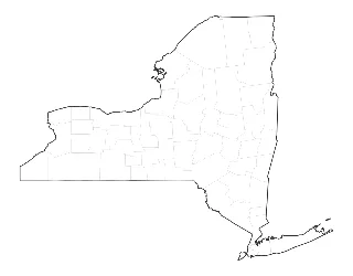 Blank Map of New York