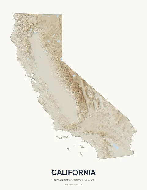 California relief wall art on a light background
