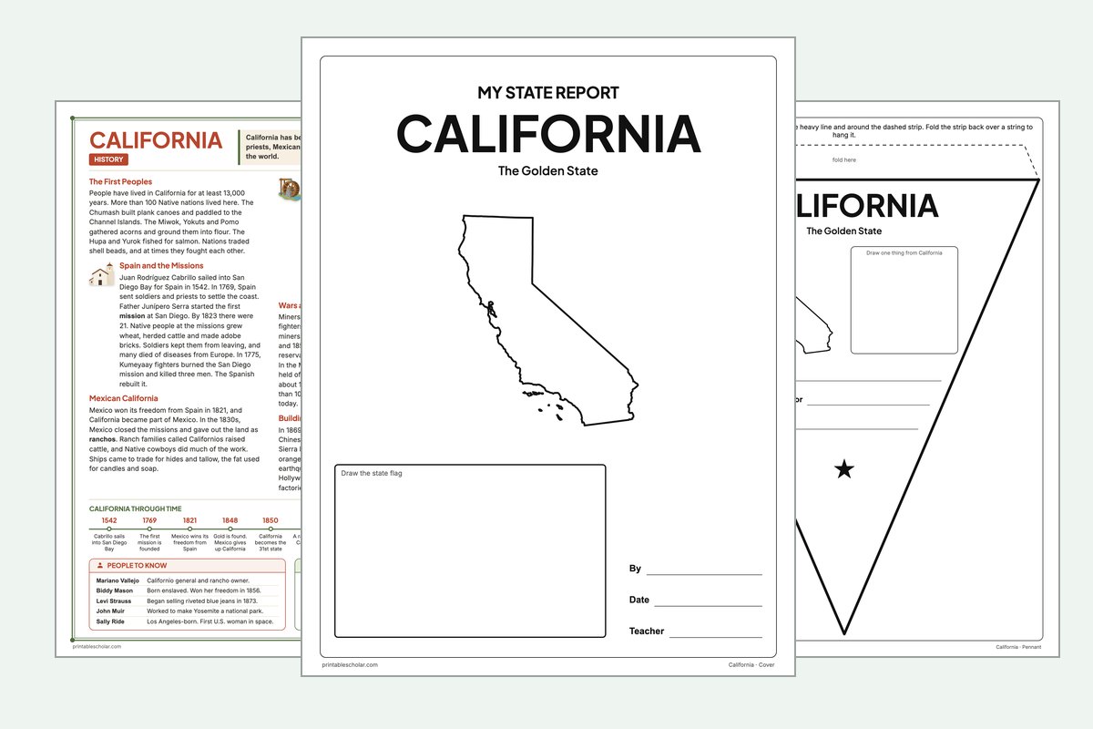 California State Report Kit: the report booklet cover, the history reading page and the pennant