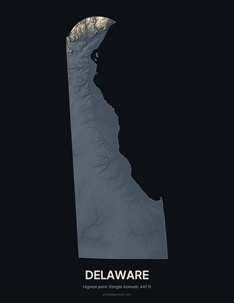 Delaware relief wall art on a dark background