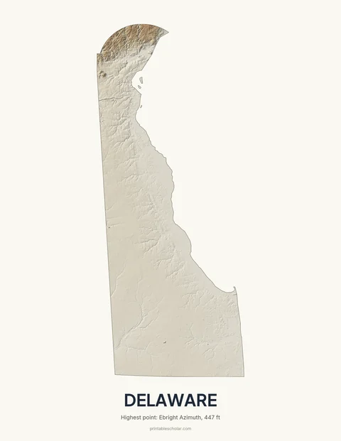 Delaware relief wall art on a light background