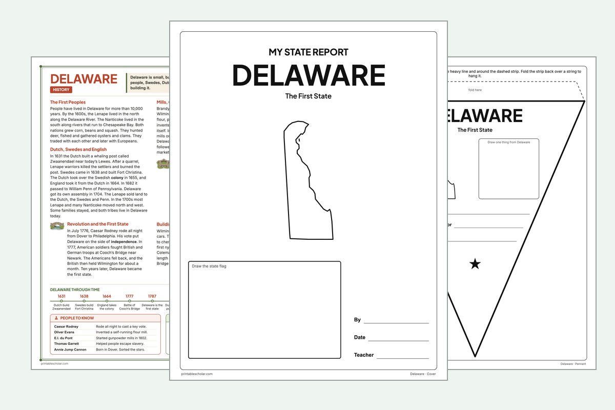 Delaware State Report Kit: the report booklet cover, the history reading page and the pennant