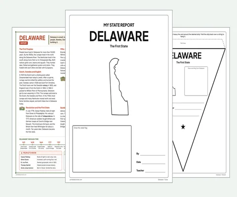 Delaware report kit map