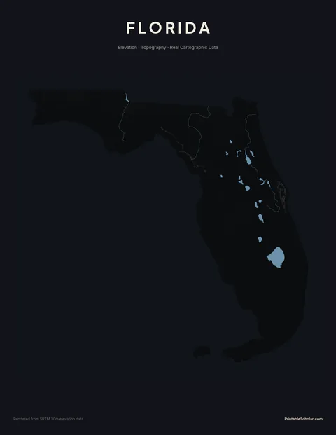 Florida topographic relief poster — high-contrast monochrome rendering of the rolling hills of the Panhandle, the central lakes region, the Everglades, and the Florida Keys