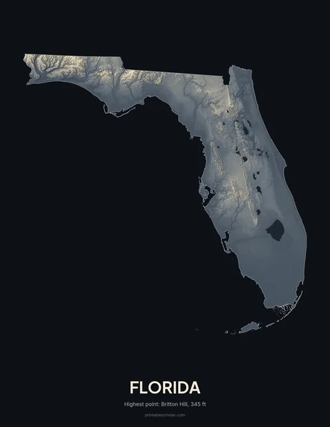 Florida relief wall art on a dark background