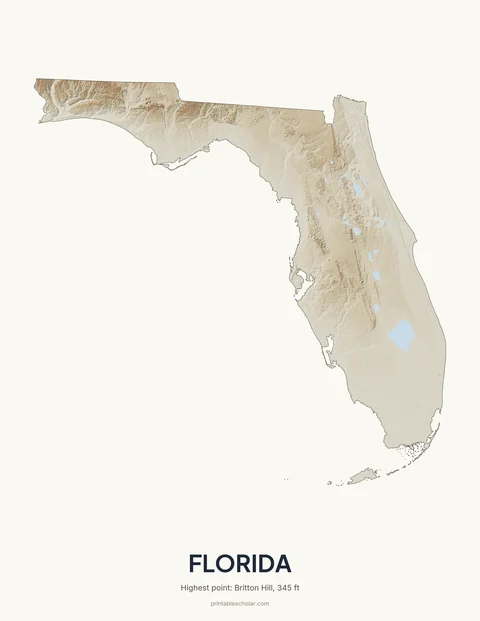 Florida relief wall art on a light background