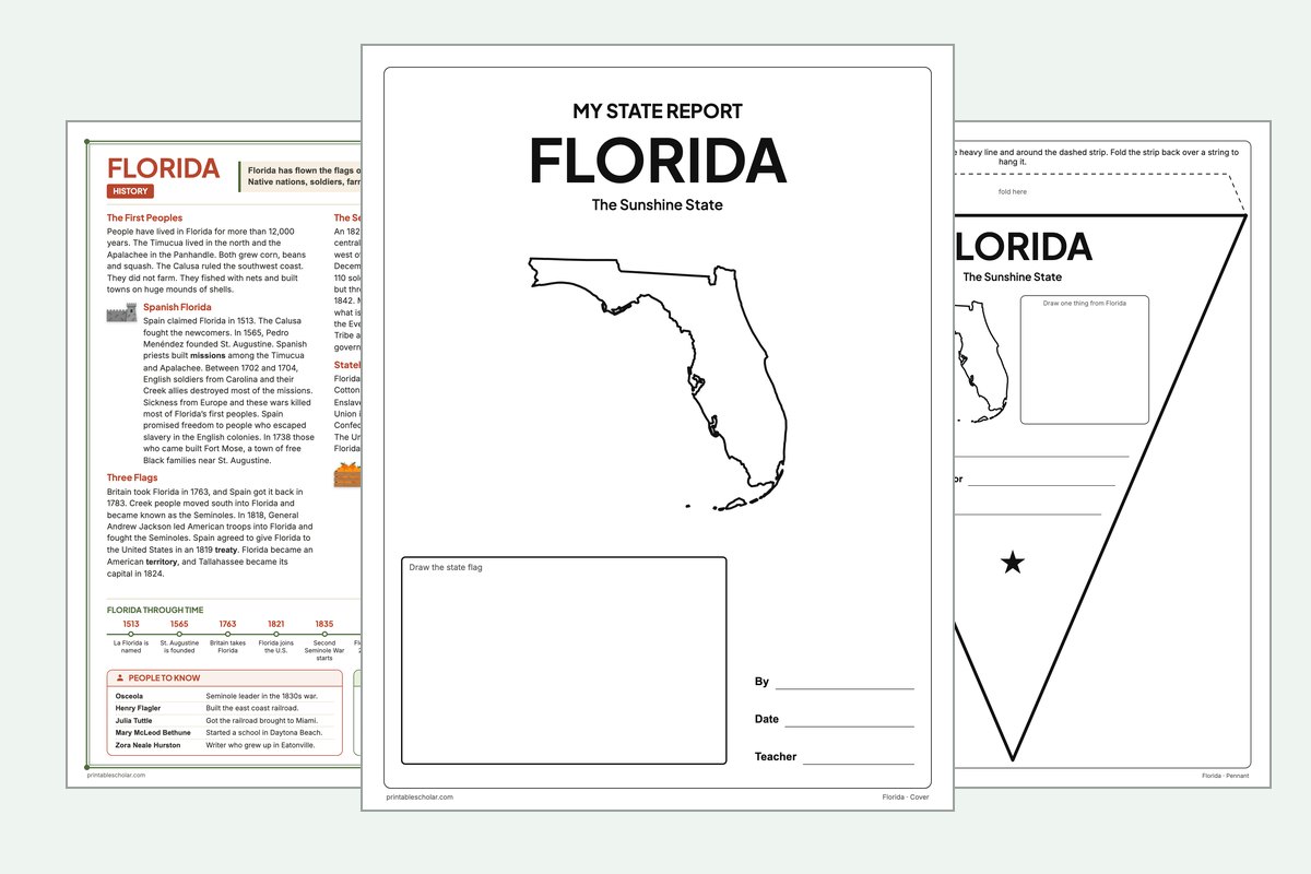 Florida State Report Kit: the report booklet cover, the history reading page and the pennant