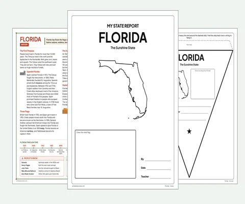 Florida report kit map